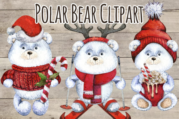 Christmas Polar Teddy Bear Illustration for Local Branding